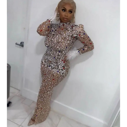 Silver Feathered Rhinestone Mesh Stretch Slim Dress
